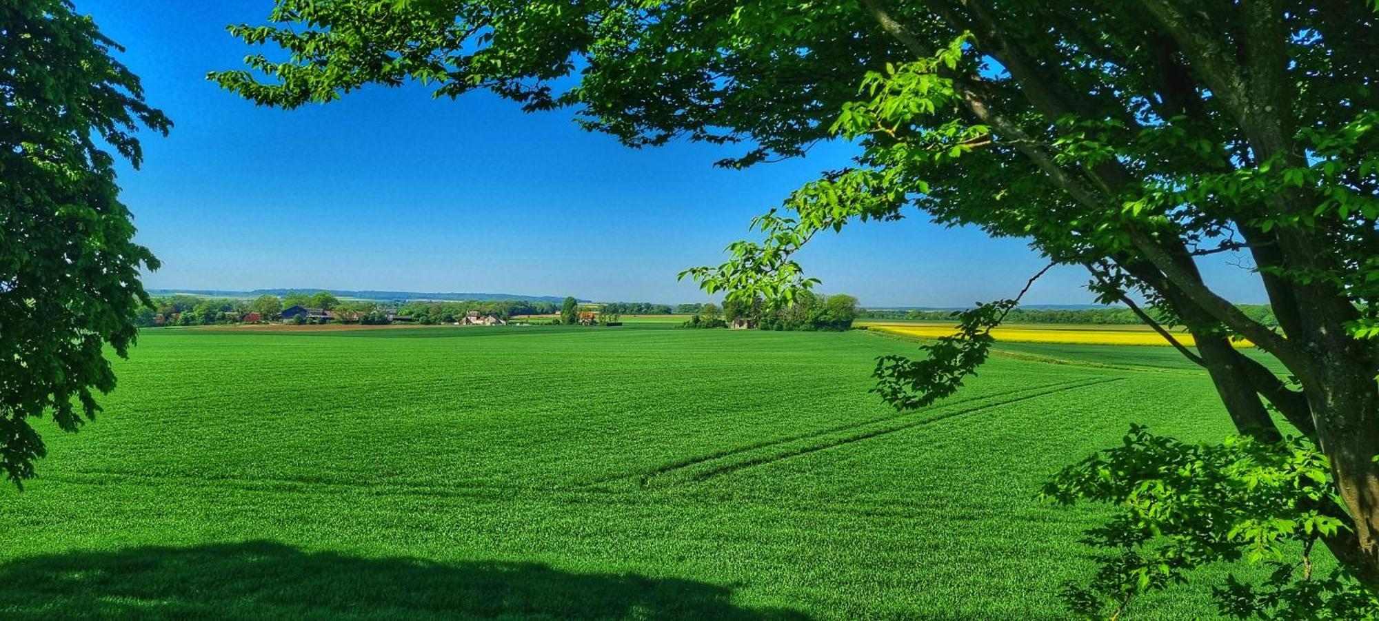 Du Grand Frene Orrouy